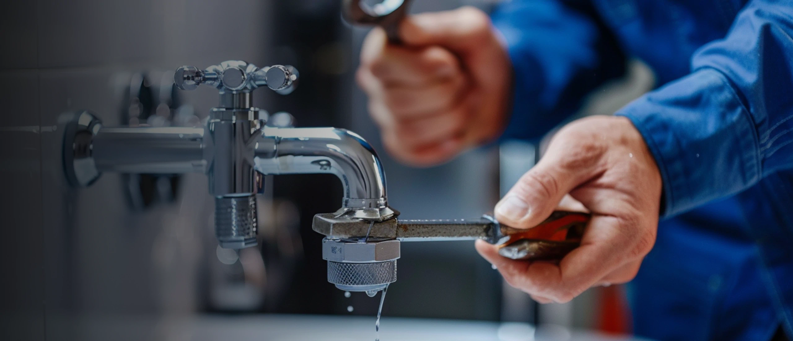 American Rooter Express hero 2